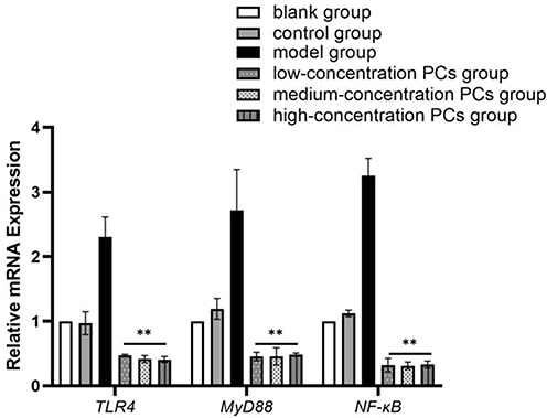 Figure 6 Relative mRNA levels of TLR4, MyD88 and NF-κB genes in different groups.