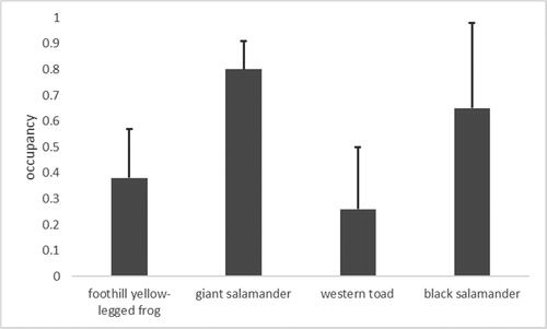 Figure 2. Estimated stream occupancy and upper 95% confidence limit of four most commonly observed aquatic amphibian species in the King Range National Conservation Area, California.