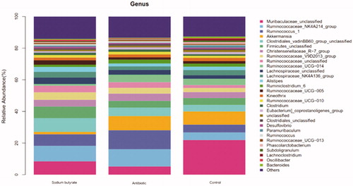 Figure 3. Display of intestinal flora at genus level.