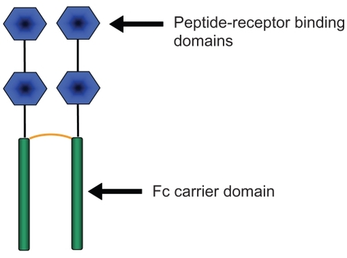 Figure 1 Structure of romiplostim.