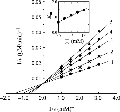 Figure 8 Lineweaver-Burk plots for inhibition of 2-fluorobenzaldehyde (a) on the oxidation of DOPA by mushroom tyrosinase. Concentration of (a) for curves 1–5 was 0, 0.25, 0.50, 0.75, 1.00 mM, respectively. The inset represents the plot of Km versus the concentration of (a) to determine the inhibition constant. The line is drawn using linear least squares fit.