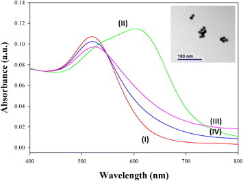 Figure 2. UV–Vis extinction spectra of unmodified AuNPs-based TB sensing. (I) The absorbance wavelength of the unmodified 13 nm AuNPs colloid centered at approximately 520 nm. (II) After addition of 25 mM salt into the AuNPs colloid, the salt induced the aggregation and the absorbance wavelength of the AuNPs colloid was red-shifted to ∼ 610 nm. (III) In the presence of 2.6 nM IS6110 target sequences, most of the detection oligonucleotide sequences would hybridize with them and would not provide extra negative charges on the AuNP surfaces to avoid aggregation when 25 mM salt was added. (IV) In contrast, the healthy control does not contain IS6110 target sequences, so the 1.3 nM detection ssDNA sequences would absorb on the AuNP surface to resist aggregation when 25 mM salt is added. The extinction ratio of Ext520/610 increases to ∼ 2.4 comparing to 1.7 for case (III). The inserted TEM image shows the diameter of synthesized AuNPs is 13 ± 1 nm.