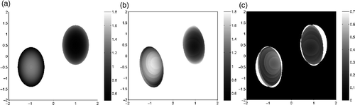 Figure 10. (a) Function ki. (b) Reconstructed function ki at the ninth step. (c) Error.