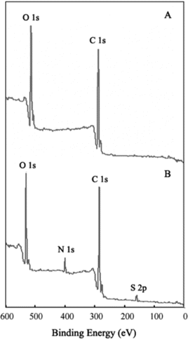 Figure 3 XPS spectra of MPVAMS before (A) and after activation and NHS-iminobiotin immobilization (B).