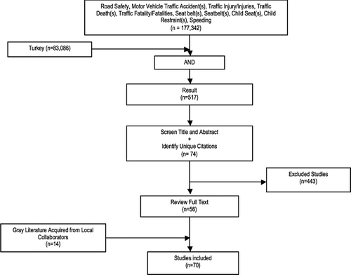 Figure 1 Literature review flowchart for road traffic injuries in Turkey.