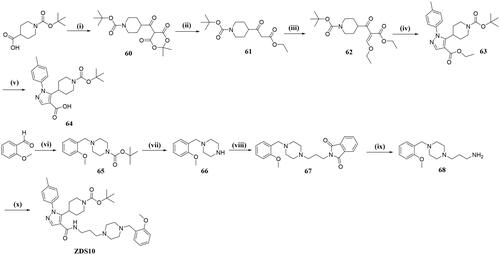 Scheme 10. Reagents and conditions:(i) 2,2-dimethyl-1,3-dioxane-4,6-dione, DMAP, DCC, 0 °C to rt, 13 h; (ii) EtOH, 80 °C, 20 h; (iii) triethyl orthoformate, Ac2O, 100 °C, 48 h; (iv) p-methylphenylhydrazine hydrochloride, EtOH, NaHCO3, 100 °C, 9 h; (v) NaOH, EtOH/H2O, 80 °C, 2 h; (vi) tert-butyl piperazine-1-carboxylate, STAB, THF, 70 °C, 5 h; (vii) TFA, DCM, 0° C to rt, 2 h; (viii) N-(3-bromopropyl) phenylenediamine, K2CO3, MeCN, 80 °C, 2 h; (ix) 80% N2H4·H2O, EtOH, reflux, 2 h; (x) 64, HATU, DIPEA, THF, rt, 8 h.