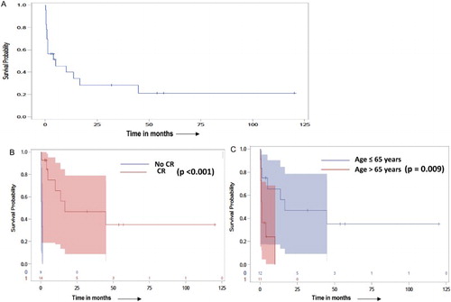 Figure 1. (A) Kaplan–Meier estimates for OS of entire cohort (A), by attainment of CR (B) and age at diagnosis of MS (C). (A) Overall survival in all 23 myeloid sarcoma patients analyzed; (B) Overall survival by achievement of CR; (C) Overall survival by age.