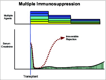 Figure 3. Stacked immunosuppression.