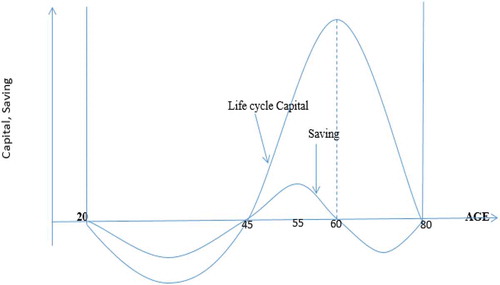 Figure 1. Life-cycle capital and savings