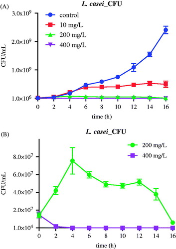 Figure 5. The effect of nMST-Au(III) on CFUs of Lc after 16 h. (A) Untreated control and all three concentrations compared (B) only high and medium concentrations compared. All concentrations of nMST-Au(III) showed inhibitory effect on Lc growth. High concentration was the most effective concentration against Lc growth and affected lag phase.