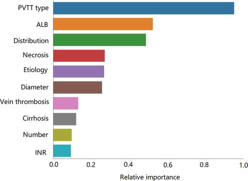 Figure 4 Relative importance rank of features screened using the least absolute shrinkage and selection operator (LASSO).