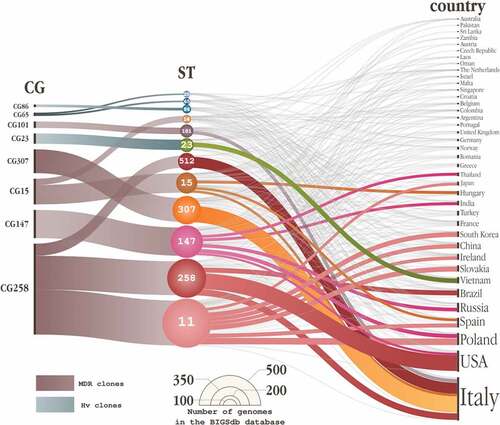 Figure 1. Alluvial diagram depicting the distribution of the various clonal groups (CGs) (left) in the sequence types (STs) that compose them (center), sorted by country (right).