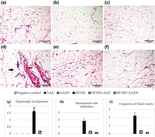 Figure 8. Representative photomicrographs of adipose tissue sections of rats: (a, b, and c) negative control, AAE, and AAEN groups, respectively, showing the normal histological architecture of adipocytes. (d) HF/HS group showing hypertrophy of adipocytes (black arrow), congested blood vessels (red arrow), and mononuclear cell infiltration (blue arrow) (H & E, scale bar, 100 μm). (e) and (F) HF/HS+AAE and HF/HS+AAEN groups restore adipose tissue architecture to appear histologically normal. (g), (h), and (i) Show the scores for histological lesions in the rats’ epididymal fat tissues throughout the various experimental groups.