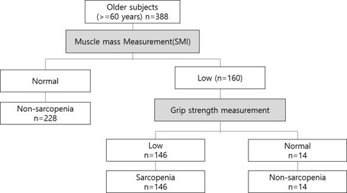 Figure 3 Assessment of prevalence of sarcopenia in community-dwelling older Korean according to the algorithm B, based on muscle mass and muscle strength.