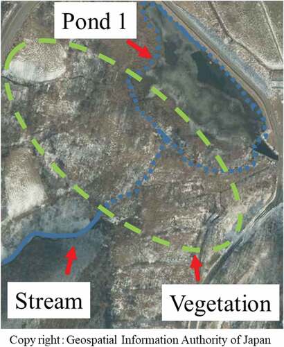 Figure 7. Aerial photographs of the areas around ponds 1