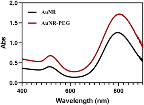 Figure 3. UV-vis spectrum of AuNRs and AuNR-PEG.