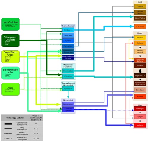 Figure 1. Biofuel pathways and stage of technology readiness. See text for details.