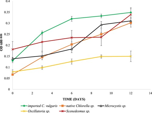 Figure 1. Growth profiles of the isolates and the imported C. vulgaris during the 12 day algaculture period.