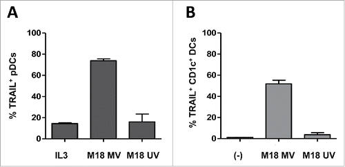 Figure 2. MV-infected tumor cells induce TRAIL expression on pDCs and CD1c+ DCs. pDCs were cultured with IL3 or with MV-infected or UV-irradiated M18 melanoma cells (A). CD1c+ DCs were cultured alone (−) or with MV-infected or UV-irradiated M18 melanoma cells (B). The expression of TRAIL by the indicated cells was determined by flow cytometry. Results are expressed as the mean ± SEM of three independent experiments.