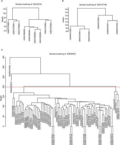 Figure 2 Sample clustering of BO datasets. (A) Hierarchical clustering of the 9 samples in the GSE52761. (B) Hierarchical clustering of the 6 samples in the GSE137169. (C) Hierarchical binning of 73 samples in GSE94557, of which GSM2478168 and GSM2478274 were outliers.