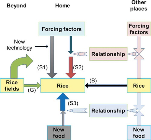 Fig. 1 The relationships among the possible solutions that a clever housewife may find when she wants to feed her hungry family but has no rice, including Borrowing (B) from neighbours or shops, using substitutes from within the home (S1), using substitutes from outside the home (S2), using substitutes (S3) such as new food products, and Generating (G) by planting rice seed immediately. The forcing factors in the figure are those driving or helping the housewife to find substitutes, such as the location of the places where she can find food, time to get there, the family’s favorite food, road conditions, etc.