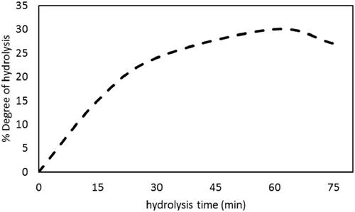 Figure 4. Development of red kidney bean protein isolate (RPI) hydrolysis with time at 37 °C and pH 6.