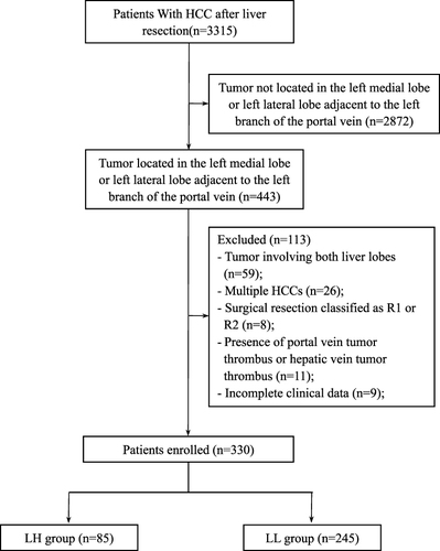 Figure 1 Flow chart of patient’s inclusion.