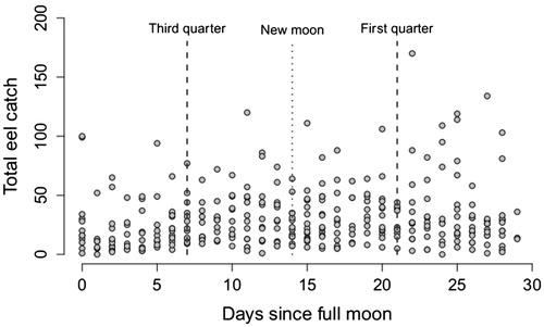 Figure 4. Number of longfin eels caught in Lake Manapouri compared to moon phase, starting and ending at the full moon, p = .37, n = 336 days.