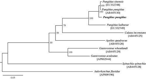 Figure 1. A maximum-likelihood tree inferred from 37 mitochondrial genes among nine Gasterosteidae fishes and an out-group species. Bootstrap support is indicated at nodes. GenBank accession numbers are indicated in brackets.