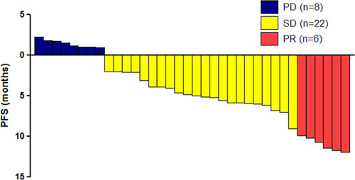 Figure 1 Waterfall plot for the progression-free survival (PFS) of the 36 patients enrolled in the study. *The columns above the horizontal axis represent the patients who achieved PD (blue), whereas the below represent the patients who achieved PR (red) and SD (yellow).