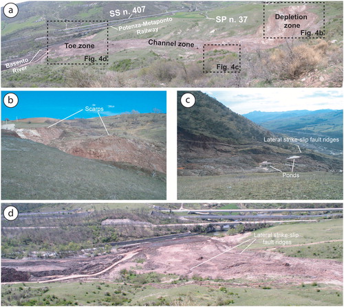 Figure 4. a) Panorama view of the BMSL taken from La Rosa. From this position all the main landslide elements forming the study landslide as well as the depletion, transfer and accumulation zones are visible; b) view of the BMSL crown zone from SW. Note the occurrence of different landslide scarps; c) particular of the BMSL channel zone showing well-defined lateral strike-slip fault ridges and water ponds located within ephemeral topographic depressions; d) view of the BMSL toe zone from NE. Note the reduced section of the Basento River and the occurrence of fresh lateral strike-slip fault ridges bounding the active toe. Source: Author