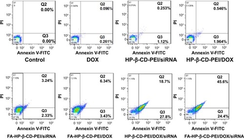 Figure 8 Cell apoptosis of different transportation modalities of a fixed concentration of 0.5 μg/mL of DOX in MCF-7/Adr cells after 48 hours’ treatment with differently treated groups.Notes: The apoptosis of cells was detected by flow cytometry after staining with annexin V-FITC and a PI cell-apoptosis kit; the untreated cell group was used as a control. Cells negative for both annexin V-FITC and PI staining were classified as alive, while cells that stained positive for annexin V-FITC and negative for PI were classified as apoptotic. Cells that stained positive for PI were classified as necrotic. The concentration of BCL2 siRNA used was 100 nM.Abbreviations: DOX, doxorubicin; FITC, fluorescein isothiocyanate; PI, propidium iodide; FA, folic acid; HP-β-CD, hydroxypropyl-β-cyclodextrin; PEI, polyethylenimine; siRNA, small interfering RNA.