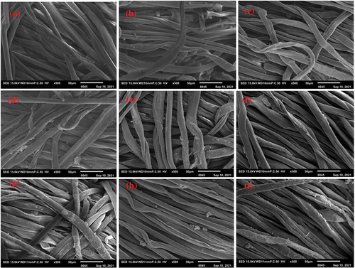 Figure 4. SEM images of: (a) untreated cotton, (b) pomegranate peel treated cotton, (c) dyed cotton pretreated with pomegranate peel, (d) date pits treated cotton, (e) dyed cotton pretreated with date pits, (f) Dimethyl diallyl ammonium chloride and diallylamin co-polymer treated cotton, (g) dyed cotton pretreated with Dimethyl diallyl ammonium chloride and diallylamin co-polymer, (h) Polyethyleneimine treated cotton, and (i) dyed cotton pretreated with polyethyleneimine.