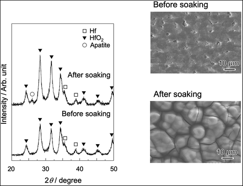 Figure 4. SEM photographs and TF-XRD patterns of FA60 before and after soaking in SBF for 3 days.