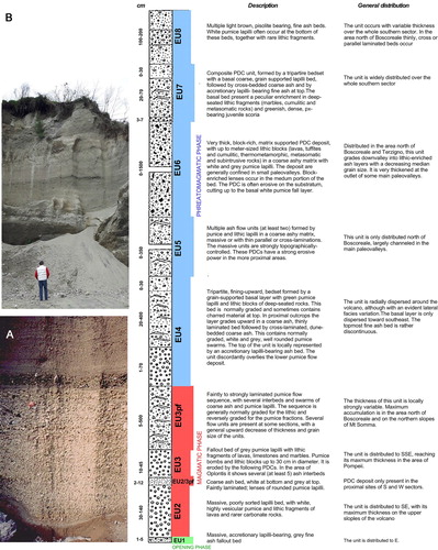 Figure 6. A general consensus exists on the stratigraphy of the AD 79 eruption deposits (CitationCioni, Marianelli, & Sbrana, 1992; CitationSigurdsson, Carey, Cornell, & Pescatore, 1985) with the definition of three different phases. The Opening phase, comprising only a few centimetres of accretionary lapilli-bearing ash fall and very minor surge beds, was followed by the Plinian magmatic phase, mostly consisting of tephra fallout (white and grey pumice layers, phonolitic to tephriphonolitic) dispersed in an elongated fan to SSW. This fallout deposit is the product of a sustained Plinian column, which during the deposition of the grey pumice collapsed at least four times producing low concentration, turbulent pyroclastic density currents (hereafter PDCs). The latter can be found interlayered in the fallout deposits along the slopes of the volcano and in the plain approximately up to a maximum distance of 8–10 km from the vent. According to Pliny the Younger's letters (CitationSigurdsson et al., 1985; CitationSigurdsson, Cashdollar, & Sparks, 1982), the Plinian phase of the eruption lasted no longer than 20 h. It was followed by a phreatomagmatic phase whose initial stages (formation of a short-lived sustained column concluded with the generation of a high-energy turbulent PDC) coincided with the onset of the caldera collapse that enlarged to the South the existing depression left by the preceding Plinian events (CitationCioni et al., 1999). The AD 79 eruption closed with the emplacement of ‘wet’ PDCs and a thick succession of accretionary lapilli-bearing ash beds. The figure contains the stratigraphy of the eruption in the Pozzelle quarry. (A) Close view of the white pumice fallout. At the base it is visible the grey ash of the opening phase. On top of the white pumice is a thin bed of grey pumice fallout followed by the pyroclastic flow deposits related to the total column collapse. (B) Sequence of pyroclastic flow deposits in the San Sebastiano quarry.
