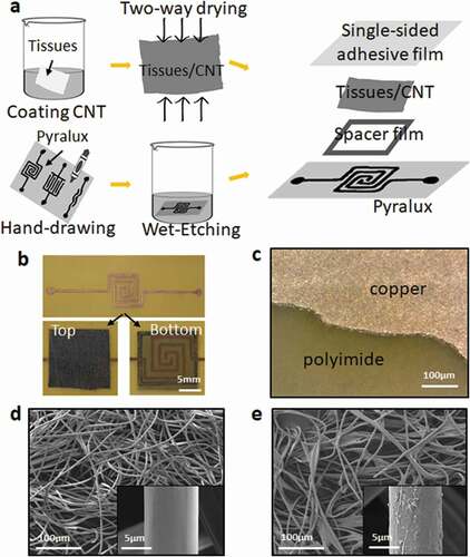 Figure 1. The figure of (a) Sensor fabrication process, (b) Top and bottom side of the sensor, (c) SEM picture of the pyralux film after etching-solution, (d) SEM picture of the sensing layer (wet-tissues) before coated by CNTs, (e) SEM pictures of the sensing layer (wet-tissues) after coated by CNTs