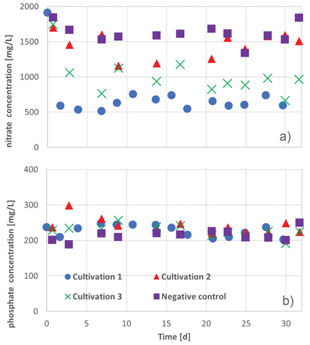 Figure 15. Nitrate (a) and phosphate (b) concentrations during 30 d − 32 d in three cultivation series of A. platensis: cultivation 1 (blue circles), cultivation 2 (red triangles), cultivation 3 (green crosses) and the negative control (purple squares) in Zarrouk medium.