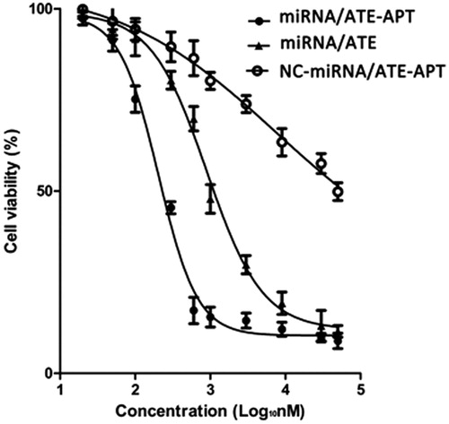 Figure 5. Viability of LNCaP cells treated with miRNA/ATE–APT, NC-miRNA/ATE–APT and miRNA/ATE complexes (n = 3, error bars represent the standard deviation). APT, aptamer; ATE, atelocollagen; and NC, negative control.
