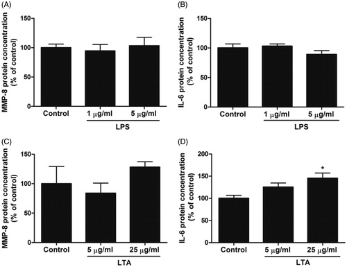 Figure 3. Stimulation with LTA increases MDPC-23 cell IL-6 protein production. (A-D) Cells were stimulated with either LPS (1 and 5 µg/ml) or LTA (5 and 25 µg/ml) for 24 h and MMP-8 (A, C) and IL-6 (B, D) protein concentration (ng/ml) was analyzed in cell supernatants by ELISA. The concentrations of MMP-8 and IL-6 protein was normalized to total protein concentration in each sample and expressed as % of control. Values are presented as means ± S.E.M. of 3–10 observations in each group. * represents p < .05 compared to control.