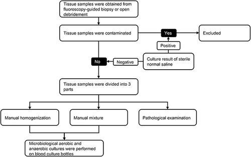 Figure 1 The algorithm of tissue samples processing. Tissue samples were divided into manual homogenization, manual mixture, and pathological examination; 20 mL sterile normal saline was set as the negative control to excludcontamination.