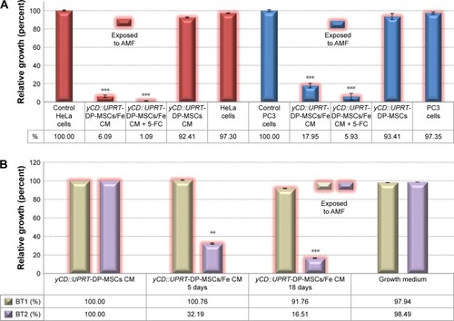 Figure 7 Effect of magnetic exosomes on tumor cells exposed to AMF.Notes: (A) PC3 or HeLa cells were seeded into Petri dishes, and CM from yCD∷UPRT-DP-MSCs/Fe cells was added to the growth medium 1 day later with or without 5-FC. Cells were exposed to an AMF for 20 minutes. Five days after AMF treatment, cell viability was measured by the MTT assay. (B) Human primary glioblastoma (BT1) and recurrent astrocytoma (BT2) cells were seeded into Petri dishes, and CM from yCD∷UPRT-DP-MSCs/Fe cells was added to the growth medium 1 day later. Cells were exposed to an AMF for 20 minutes, and cell viability was measured 5 and 18 days using the MTT assay. **P<0.01, ***P<0.001.Abbreviations: 5-FC, 5-fluorocytosine; AMF, alternating magnetic field; CM, conditioned medium; DP-MSCs, MSCs of the human dental pulp; MSCs, mesenchymal stem cells; yCD∷UPRT, yeast cytosine deaminase∷uracil phosphoribosyl transferase suicide fusion gene.