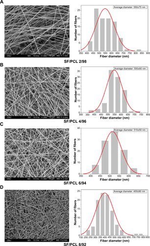 Figure S1 Change of morphology and fiber distribution of the electrospun SF nanofibers with various electrospinning processing conditions.Notes: (A) SF/PCL 2/98, (B) SF/PCL 4/96, (C) SF/PCL 6/94, and (D) SF/PCL 8/92.Abbreviations: PCL, poly(ε-caprolactone); SF, silk fibroin.