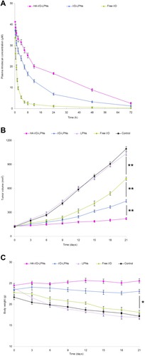 Figure 5 In vivo plasma drug concentration profiles (A), in vivo antitumor efficiency evaluated by tumor volume (B) and body weight (C). Data are presented as mean ± SD, n=8. *P < 0.05; **P < 0.01. The peak plasma concentration (Cmax) achieved from HA-I/D-LPNs (41.31 ± 1.58 μg/mL) was significantly higher than that from free I/D (33.72 ± 1.85 μg/mL, P < 0.05). The half-life (T1/2) of irinotecan in HA-I/D-LPNs, I/D-LPNs, and free I/D was 12.56 ± 0.67, 8.78 ± 0.49, and 6.35 ± 0.32 h. Area Under Curve (AUC) of HA-I/D-LPNs was 1.8-fold greater than that of I/D-LPNs and 7.9-fold longer than free I/D. It was observed that the tumor volumes of HA-I/D-LPNs group were smaller than those of I/D-LPNs group. The mice treated with HA-I/D-LPNs and I/D-LPNs depicted no obvious body weight changes from the day of the administration of different formulations to the end of the experiment.