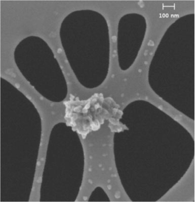 Fig. 2 A FESEM image of pure carbon aggregate of numerous nanograins (D08_033) supported on the holey carbon film used for dust collection. The aggregate is about 300 nm in size. It is surrounded by a spray zone of smaller carbon nanograins.