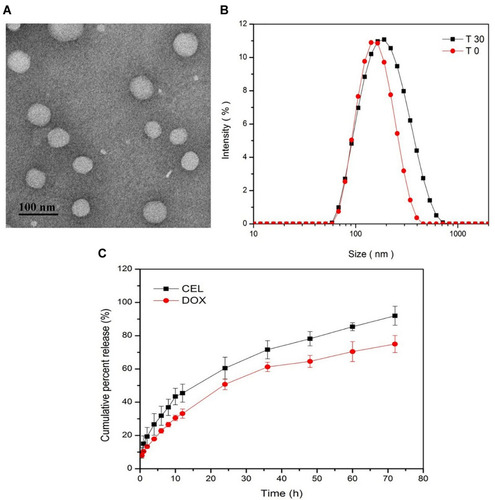 Figure 3 (A) Transmission electron micrographs of targeted liposome. (B) Size distribution of targeted liposome at preparation time (T0) and after one month of storage at 4 °C (T2), and (C) In vitro drug release profiles in phosphate buffer over 72 h at 37 °C. (C) The release profile of DOX and CEL from the liposome suspension. The results are represented as means ± SD.