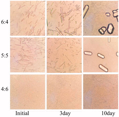 Figure 6. The micrograph of microemulsion-based gels during a short-term storage (magnification 400×).