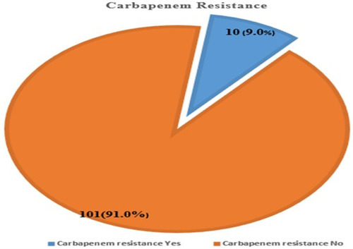 Figure 5 Magnitude of carbapenem resistance of gram-negative bacteria from clinical specimens at tertiary care hospital, southern Ethiopia from February 13 to June 7, 2020.