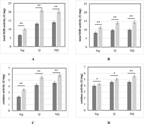 Figure 5. Total SOD (A, B) and catalase (C, D) activity in control cells (Display full size) and cells treated with 100 µmol/L Cd(NO3)2 (Display full size). S. cerevisiae 584 strain (A,C); S. cerevisiae BY4741 strain (B,D). Each value represents the mean ± SEM (Standard error of the mean) (n = 3). Significant differences (* p < .05; ** p < .001) are presented.