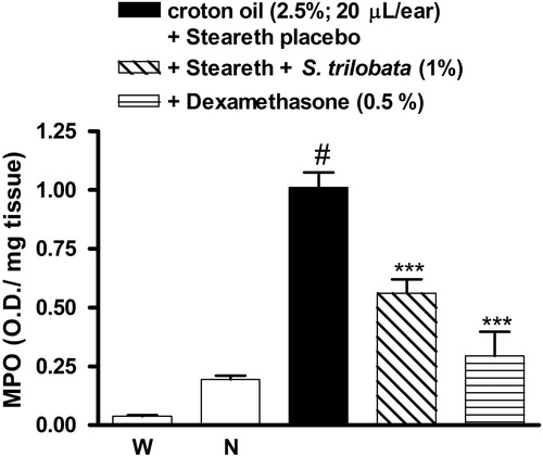 Figure 5. MPO activity in mice treated with semisolids containing S. trilobata dried extract (1.0%), dexamethasone (0.5%) or placebo (Steareth21®) and subjected to croton oil-induced ear edema (2.5%). Each group represents the mean of four to five animals, and the vertical bars indicate the S.E.M. Significant differences from control values are indicated by ***p < 0.001. Significant differences from the naïve group is indicated by #p < 0.001 (one-way ANOVA followed by the Newman–Keuls post hoc test).