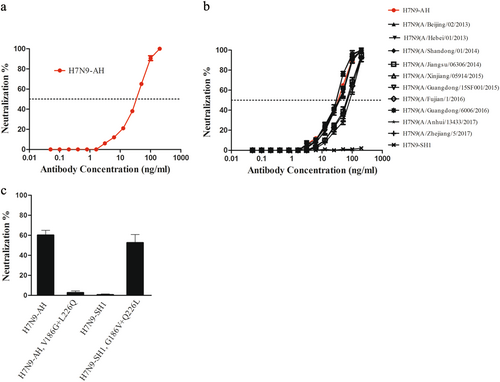 Fig. 4 Broad neutralization of the avian influenza A/H7N9 by the human mAb HINgGA6.a HINgGA6 neutralized H7N9-AH1 pseudoviruses in a dose-dependent manner. An anti-HIV human IgG was used as a negative control. b HINgGA6 neutralized divergent H7N9 pseudoviruses. c Pseudoviruses carrying the indicated amino acid mutations were generated. Neutralization assay with 50 ng/ml HINgGA6 was performed using MDCK cells